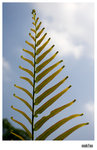 2005-0717-10