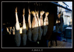 KX1N4265