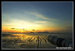 2006.7.05 @白泥
KX1N0836