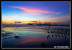 2006.7.05 @白泥
KX1N0870