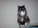 DSC00517