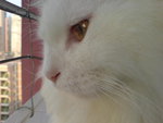DSC00738