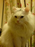 DSC00785