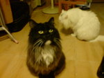 DSC00789