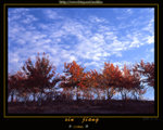 scan041