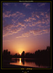 scan045