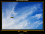 KX1N3405