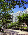20090915_11jpg