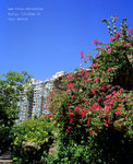 2009915_08jpg