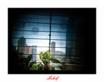 _1030605