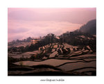 元陽勝村
4x5_11
