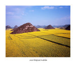 羅平金雞岭

4x5_13