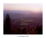 羅平十萬大山
4x5_18