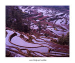 元陽

4x5_19