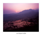 元陽多依樹

4x5_21
