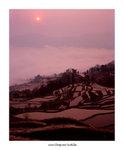 元陽胜村

4x5_26