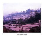 元陽
4x5_30