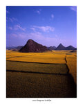 羅平金雞岭

4x5_32