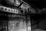 DSC05036a