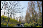 CRW_0200