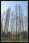 CRW_0202