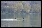CRW_0260