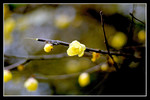 CRW_0272