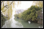 CRW_0284A