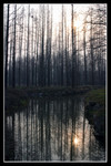 CRW_0292