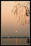 CRW_0343