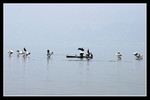 CRW_0352