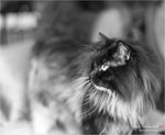 DSC05608a