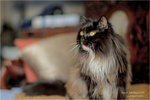 DSC05624a