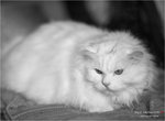 DSC05626a
