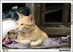 taio_IMG_8249(768x544)