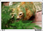 taio_IMG_8251(768x544)