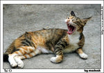 taio_IMG_8252(768x544)