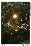 taio_IMG_8258(528x784)