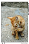 taio_IMG_8275(528x784)