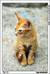 taio_IMG_8276(528x784)