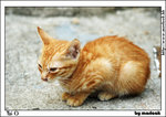 taio_IMG_8277(768x544)