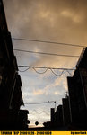 20061026_IMG_4040(480x740)