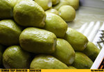 20061026_IMG_4048(720x500)