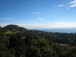 IMG_0687(640x480)