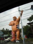 IMG_0722(640x480)