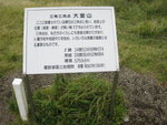 IMG_0771(640x480)