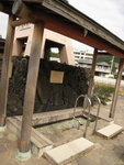 IMG_0951(640x480)