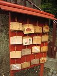 IMG_0994(640x480)