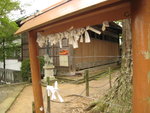 IMG_0997(640x480)