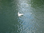 IMG_1155(640x480)